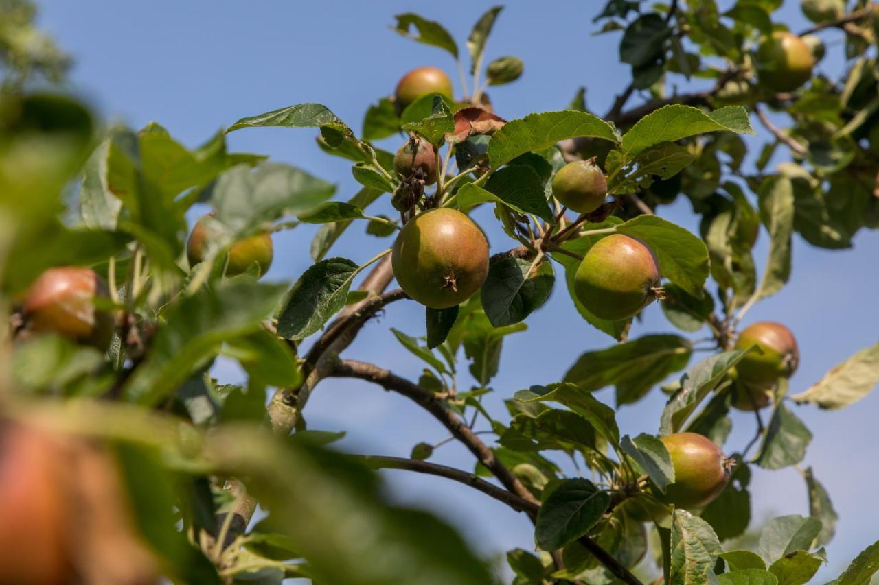 De Notenboom Meliskerke Luaran gambar